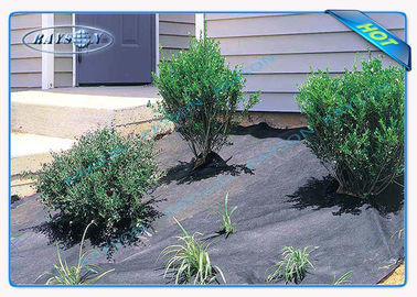Enviro Anti UV Polipropilen Bahçe Yabani Ot Kontrolü Kumaş / Paspas için Peyzaj Tarım Olmayan Dokuma Kapak