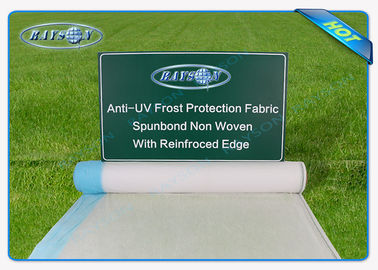 Tarım, Beyaz Peyzaj Kumaş Bankalar toplam 25,6 Geniş Şeffaf Anti-UV ot kontrol Mat