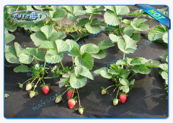 Biyobozunur Ağır Hizmet Tarımsal Olmayan Dokuma Kapak Siyah Renkli 1.5OZ 40gsm ila 100gsm