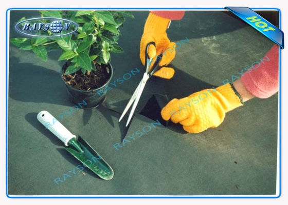 Siyah Renkte% 3 UV Koruması 10 Yıl Garanti Tarımsal Dokumasız Kapak Spunbond