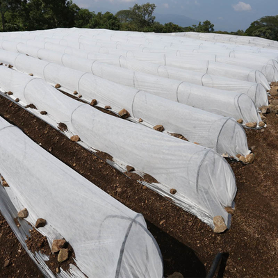 Sebze için Anti Uv 420cm Genişlik Tarım Nonwoven Kumaş